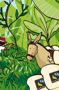 Puro Kaffee von Miko - Fairtrade, what else?